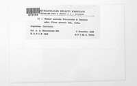 Elsinoe australis image